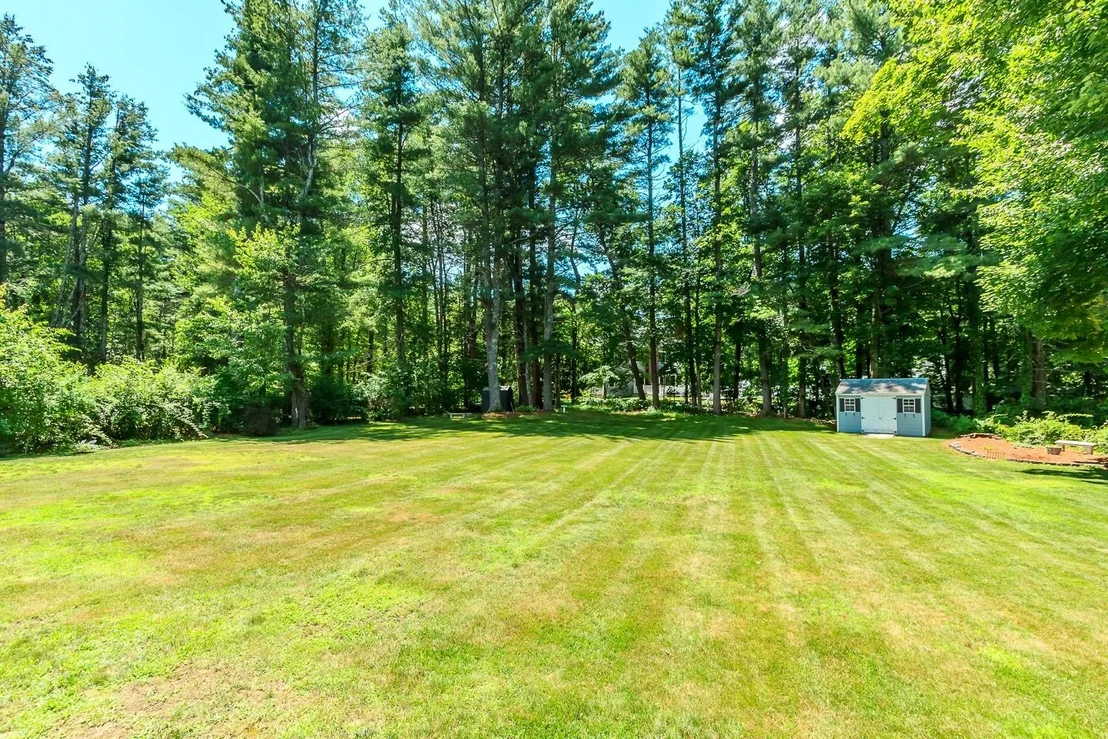 Photo of 43 Bluff