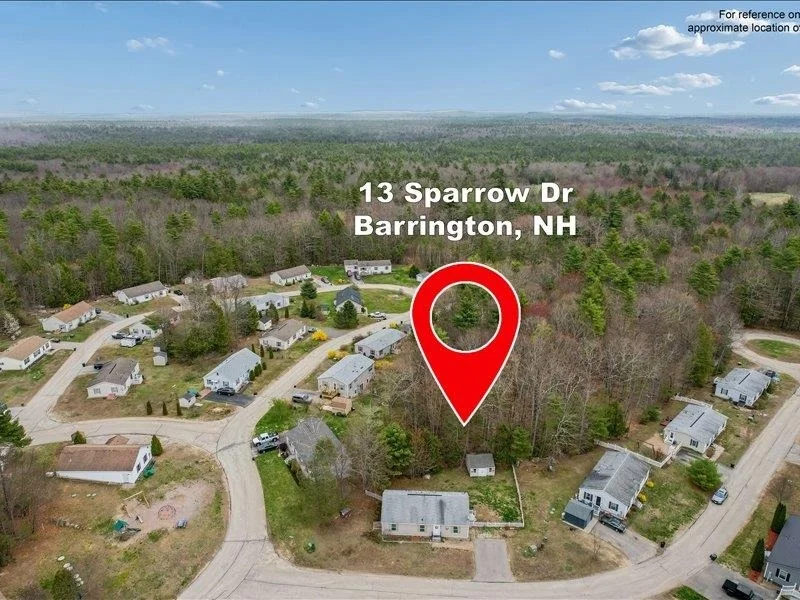 Photo of 13 Sparrow