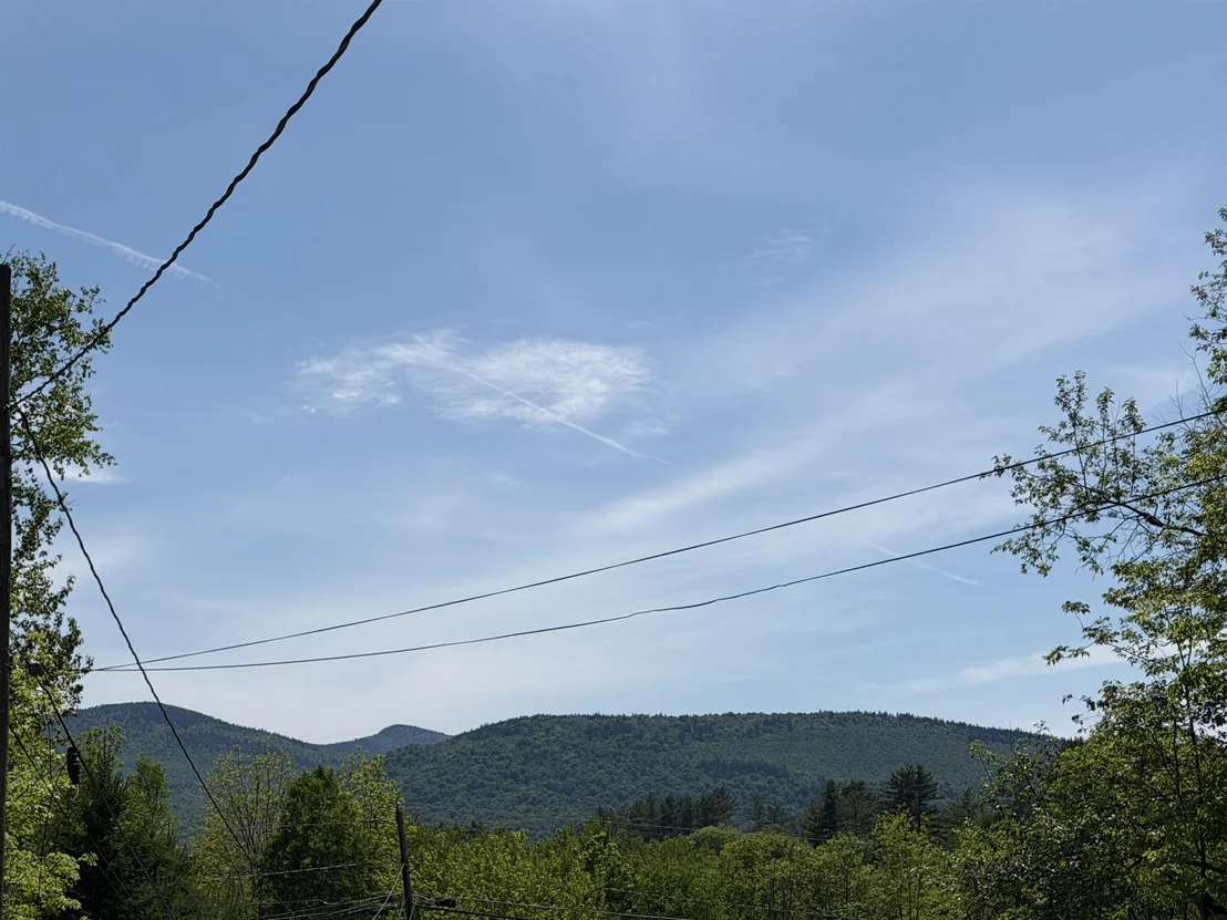 Photo of 7 Pine
