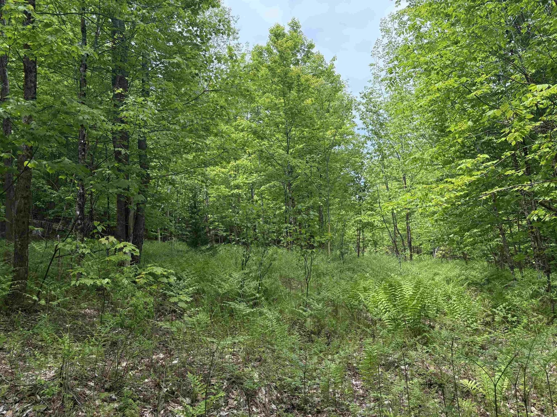 Photo of 0 Old Pond Hill