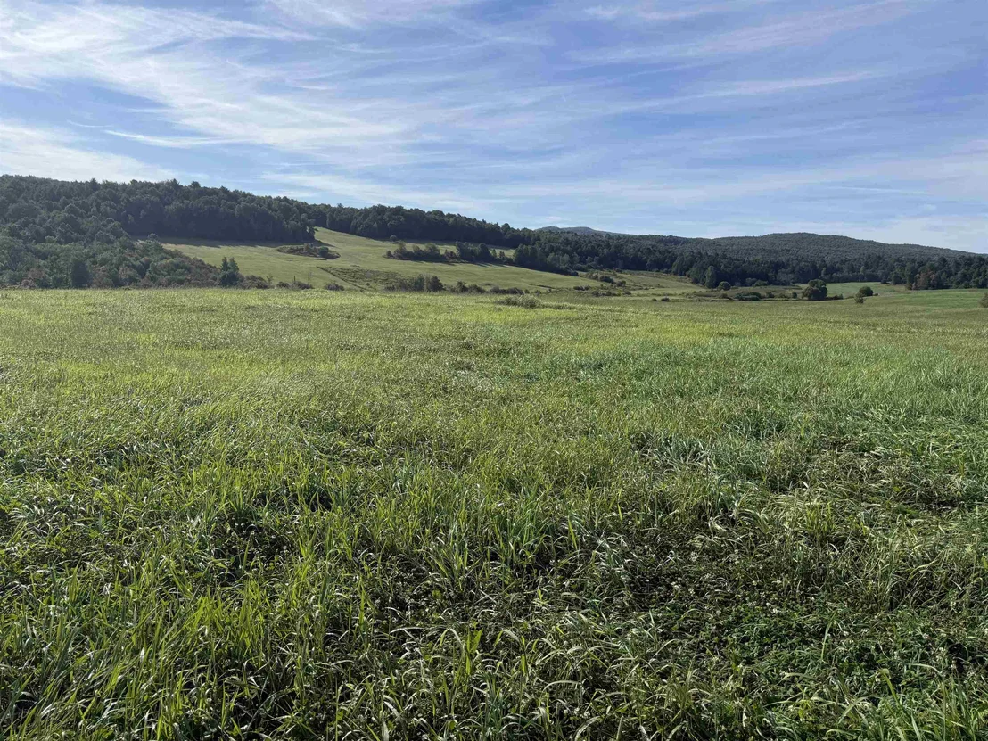 Photo of Lot 3 South