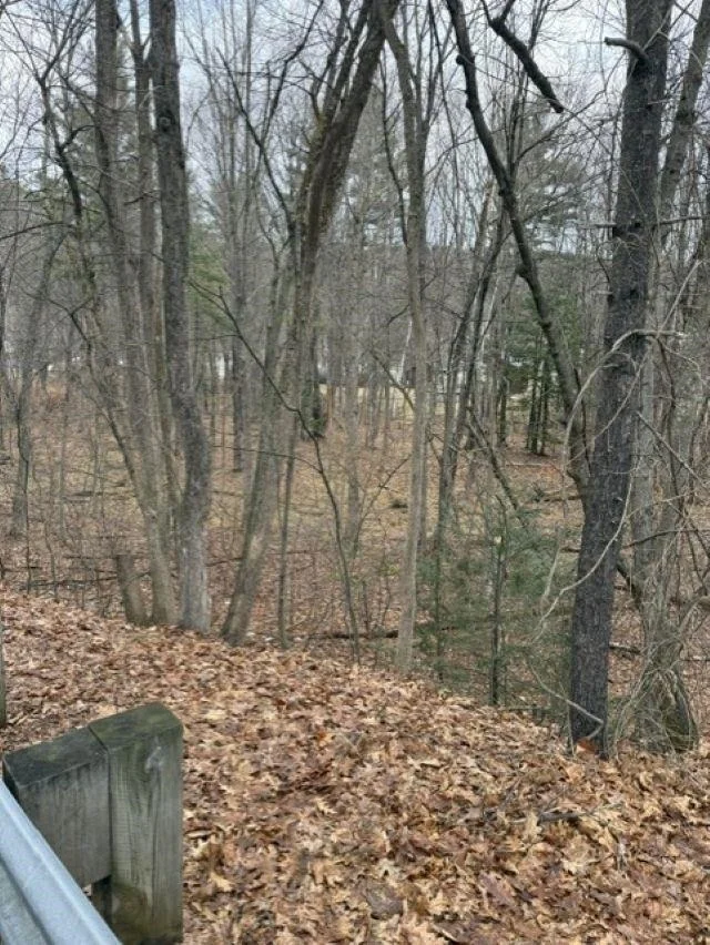 Photo of 2 Shore