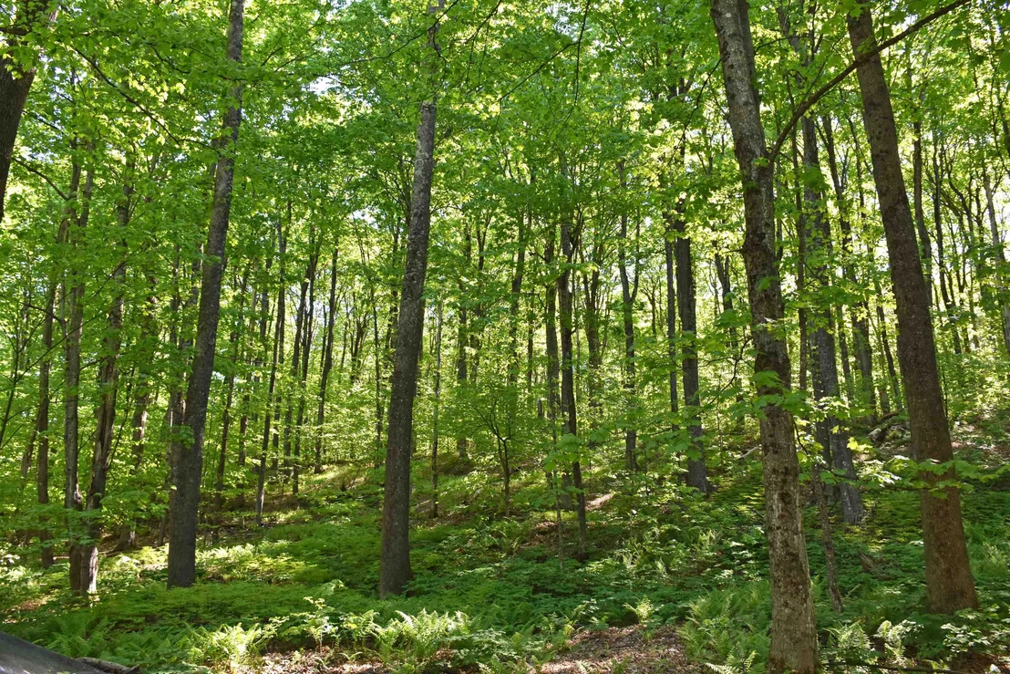 Photo of 397 Winch Hill