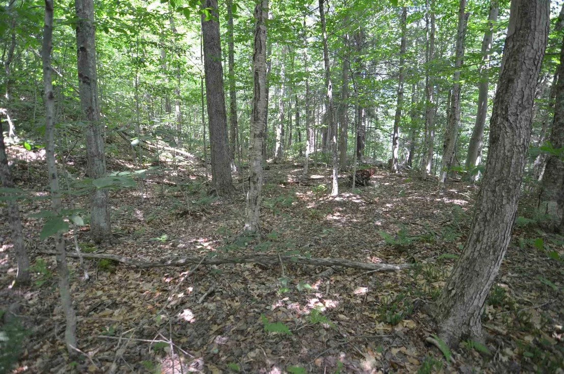 Photo of 1336 Route 100