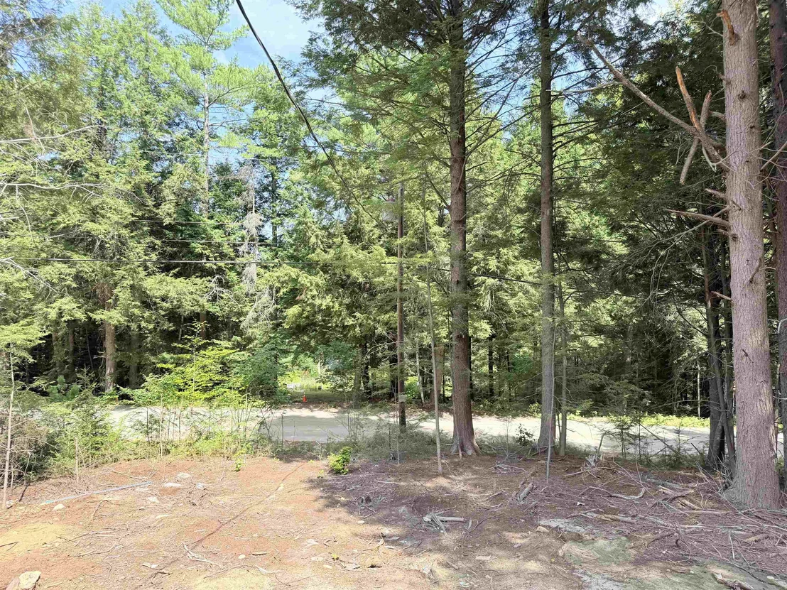 Photo of 39 Hemlock