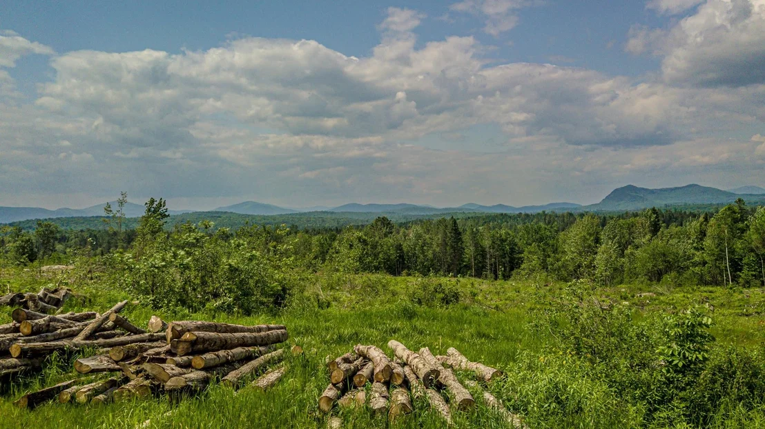 Photo of 53 Pleasant Valley