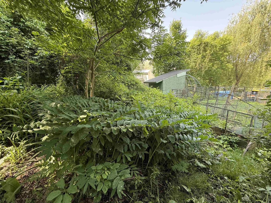 Photo of 53 High
