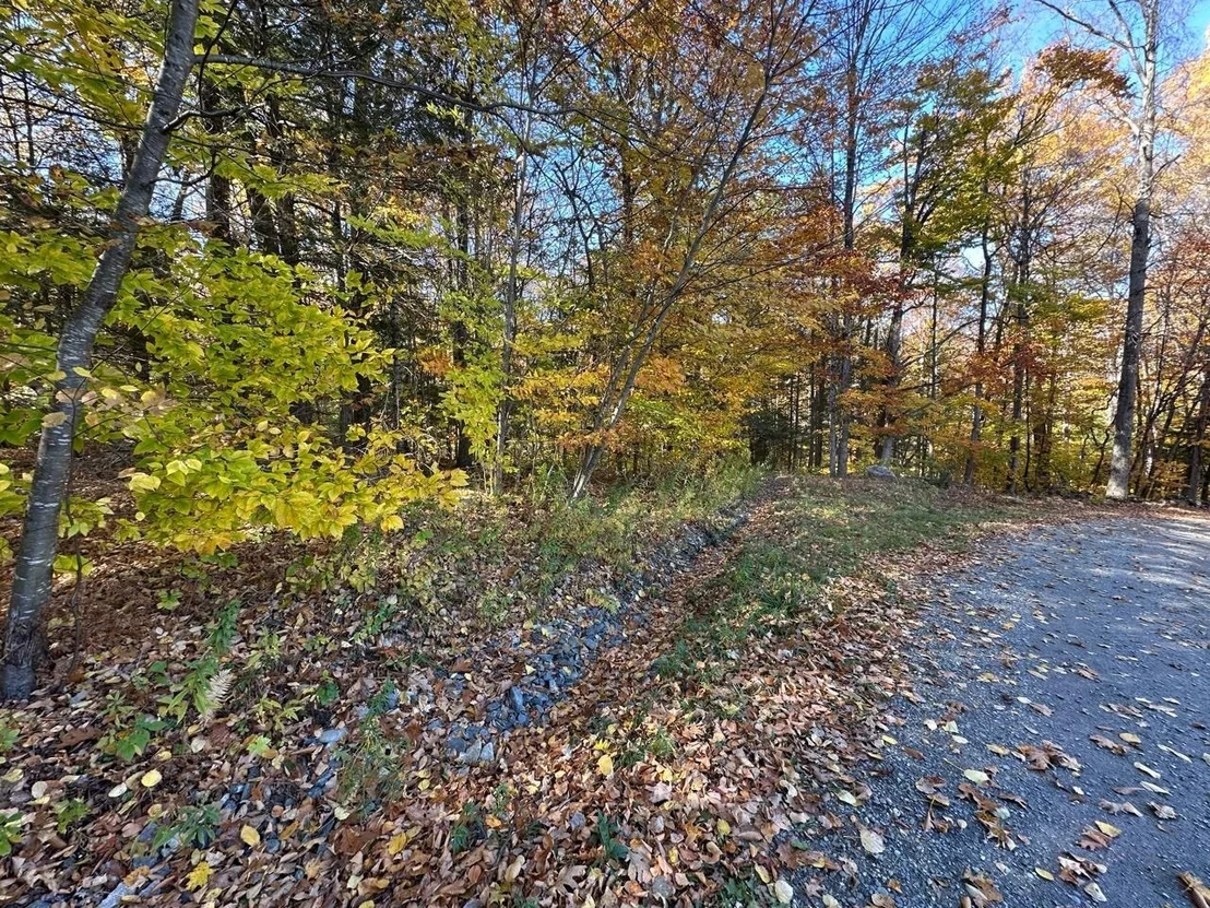 Photo of 184 Dupre