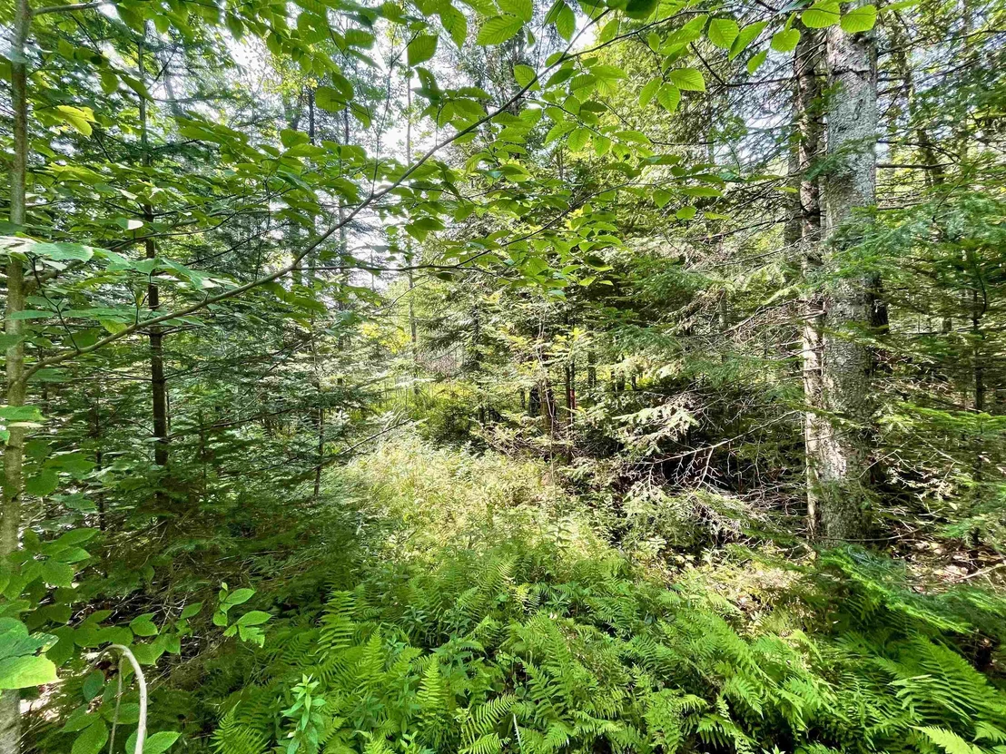 Photo of 00 Peene Hill