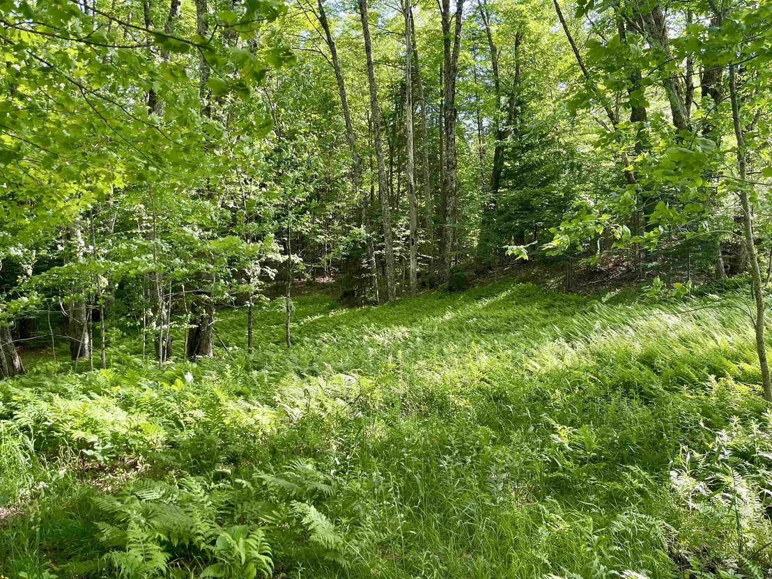 Photo of 00 Old Farm