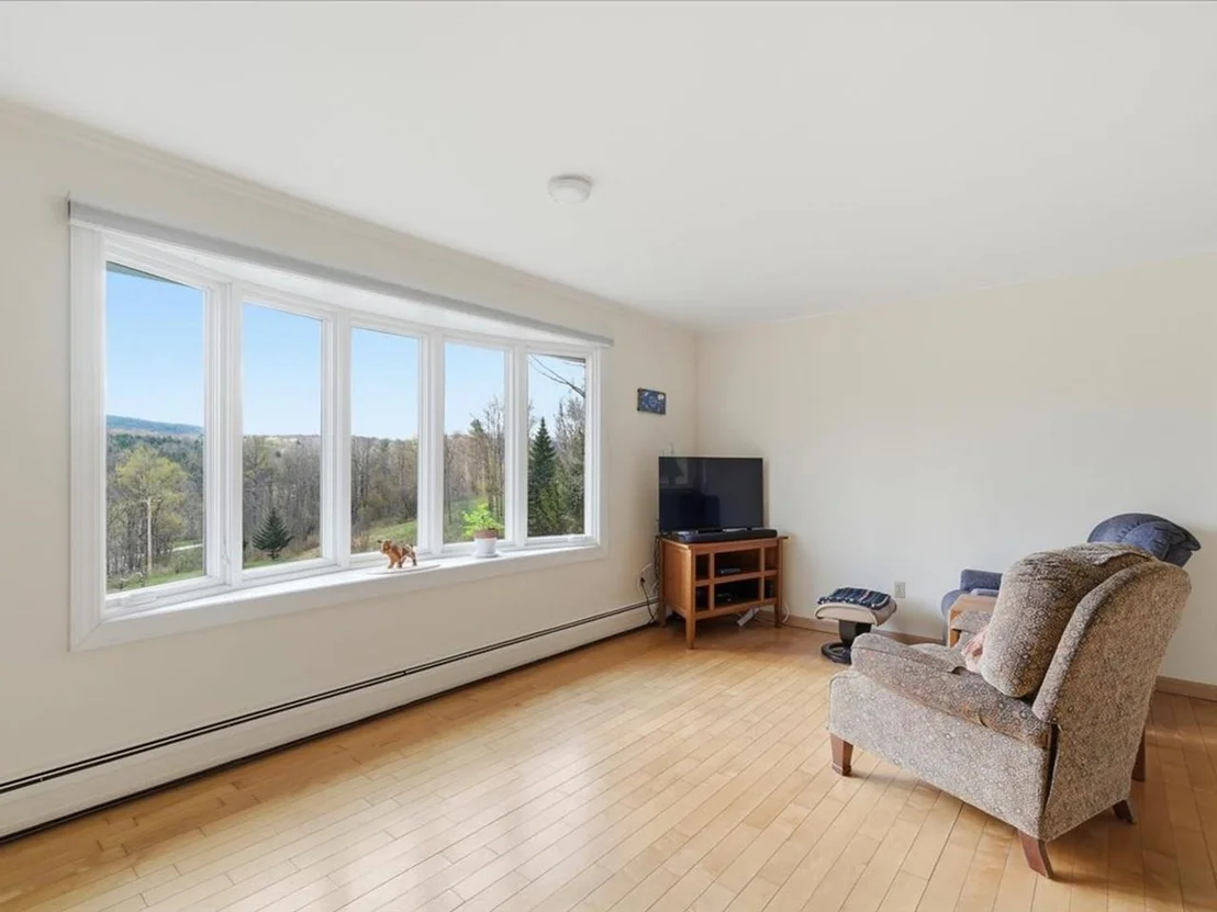 Photo of 12 Briar Patch