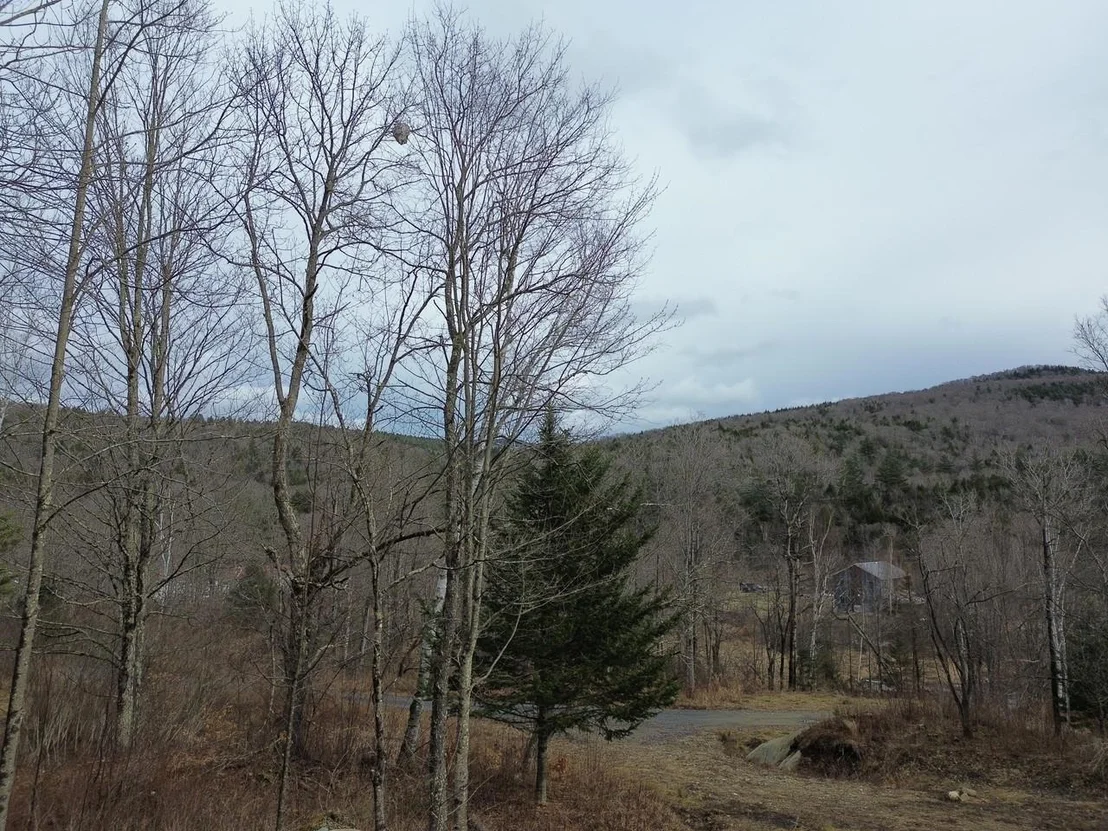 Photo of Unit 3 at 00 Bent Birch