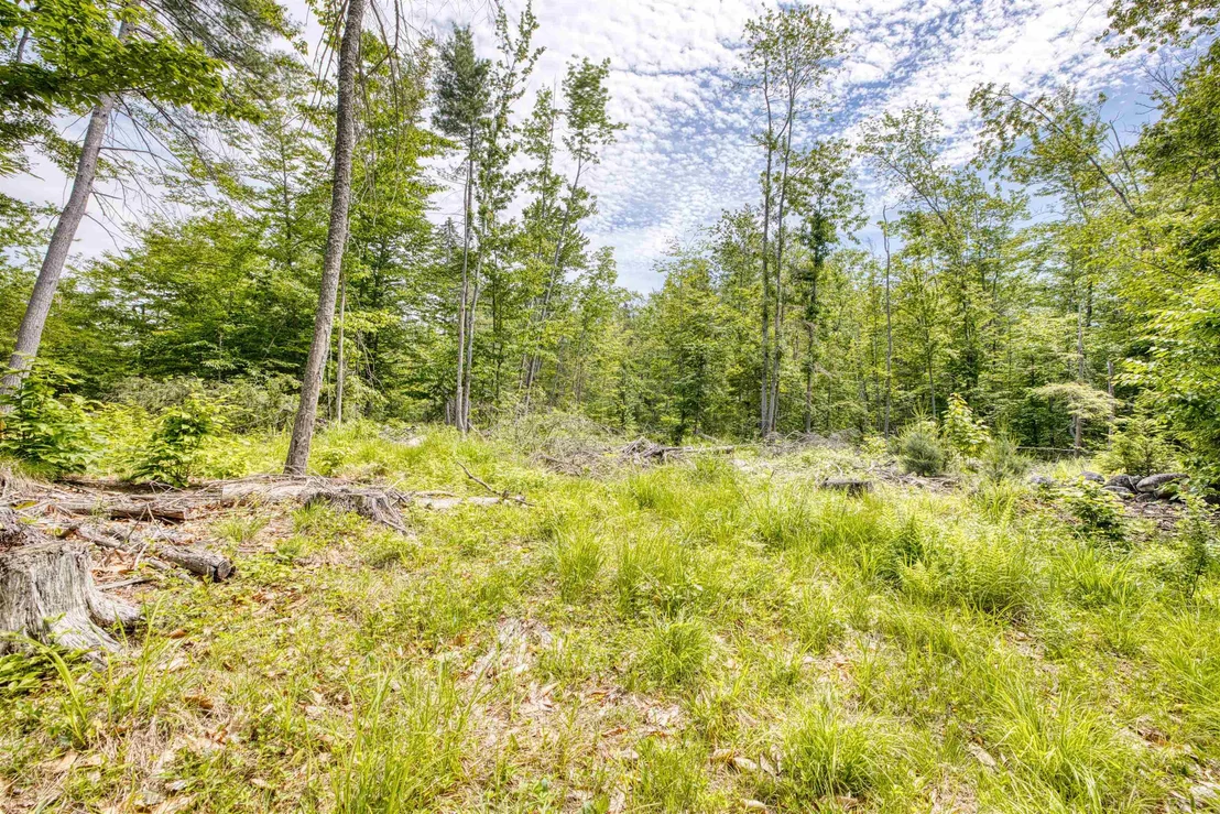 Photo of 160 Browns Ridge