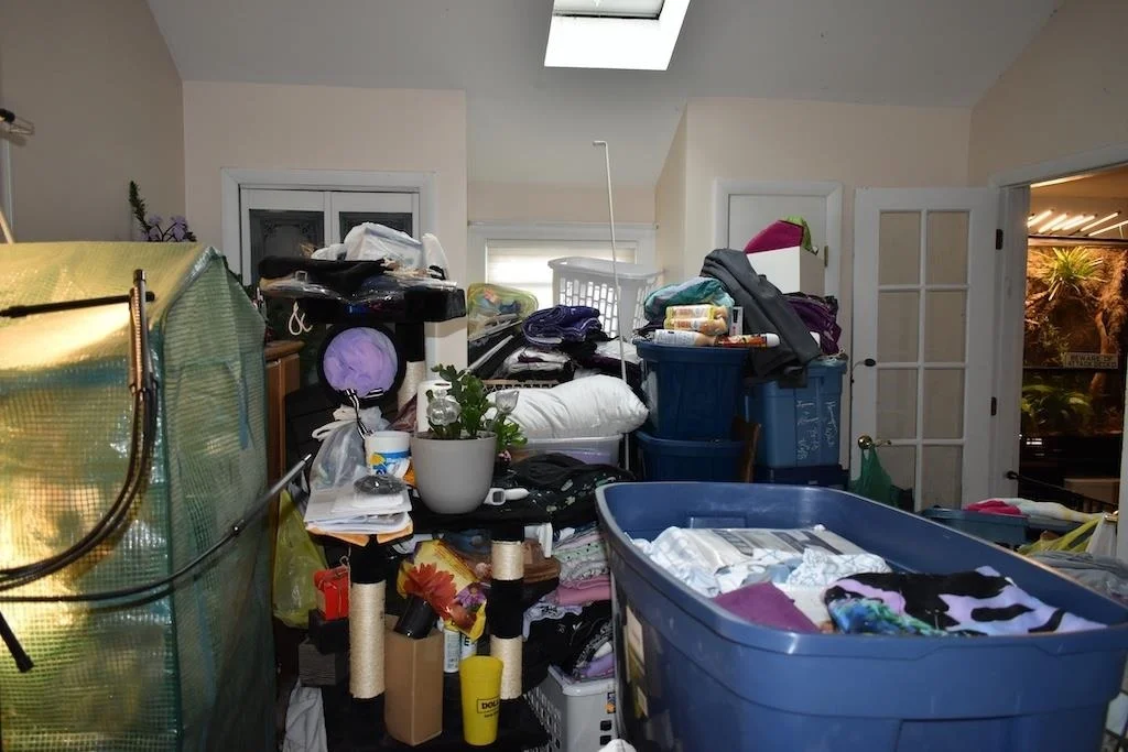 Photo of 133 Mount Delight