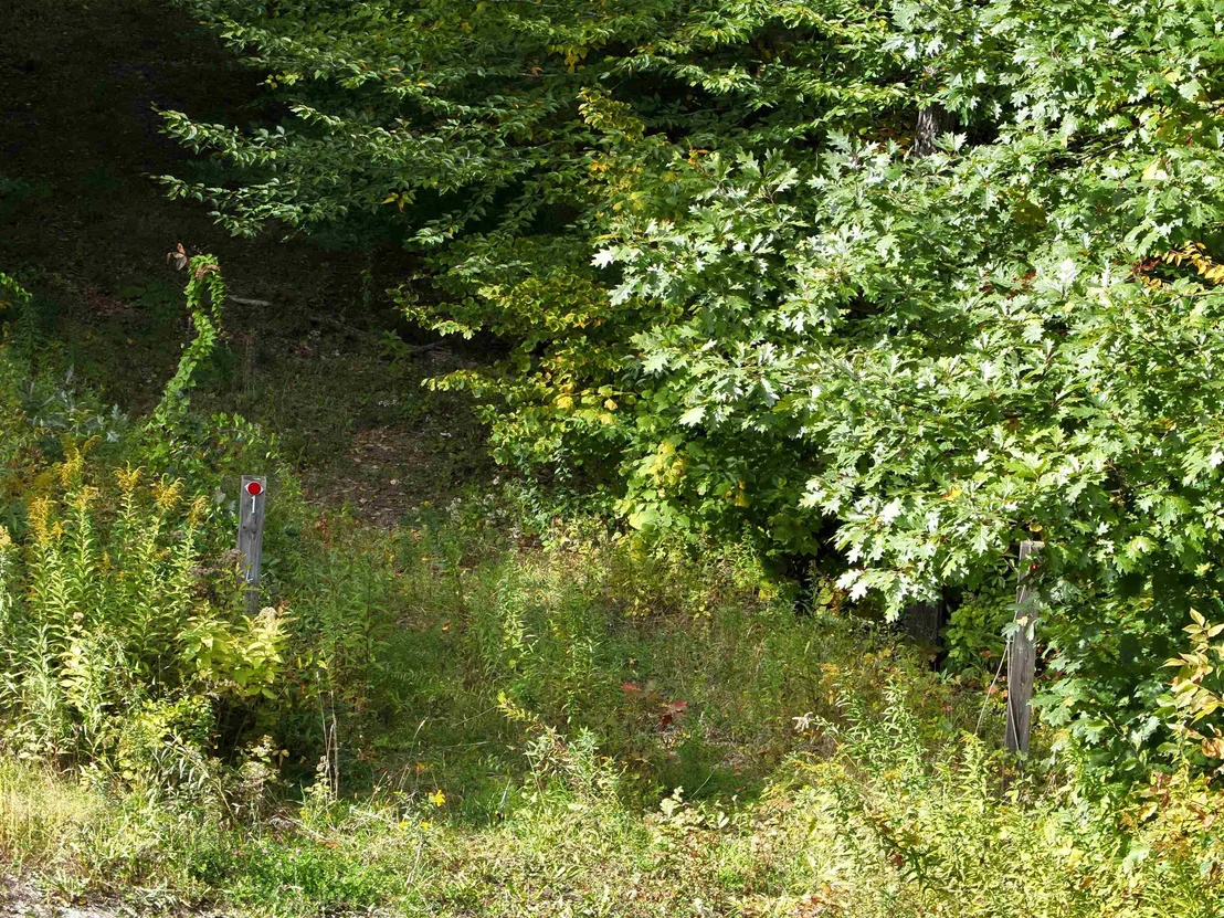 Photo of 1297 River