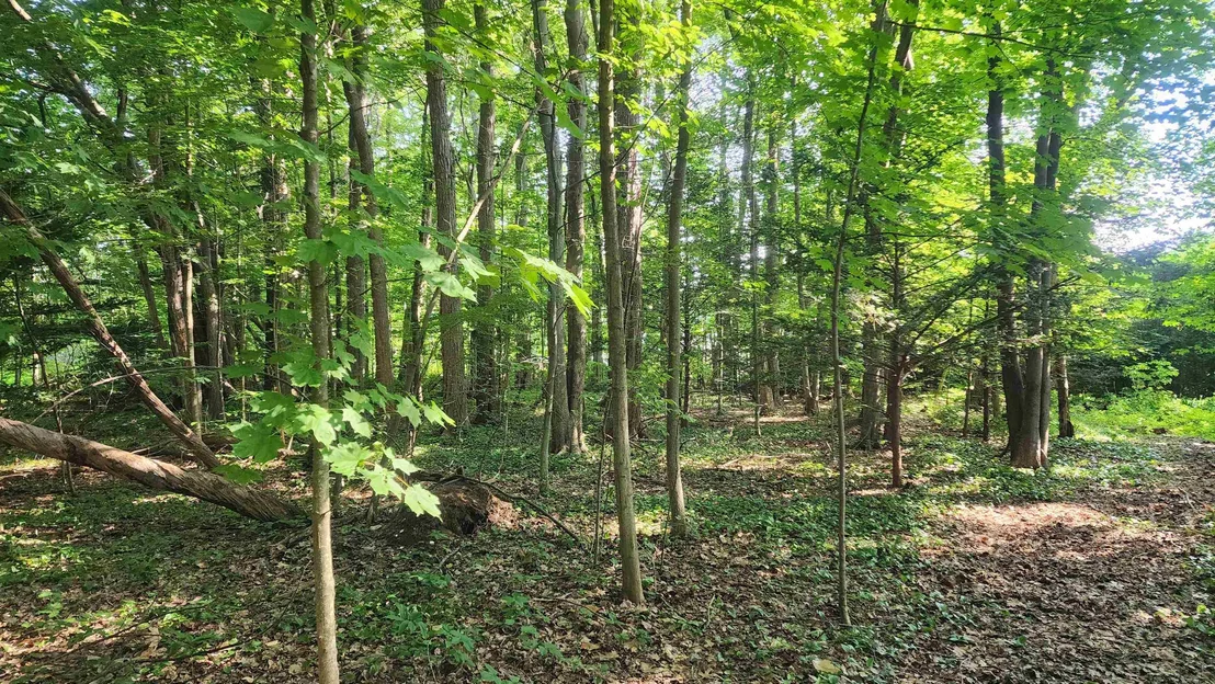 Photo of Unit MAP161LOT44 at Towle