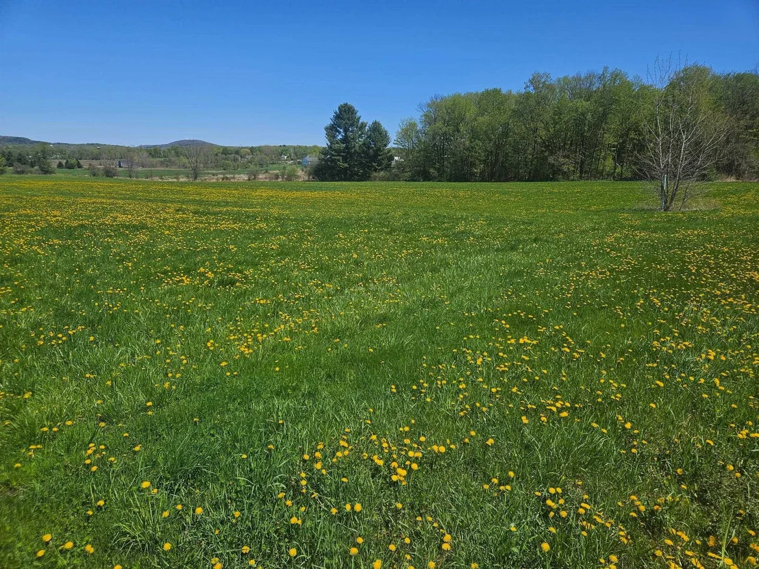 Photo of Lot 2 Plains