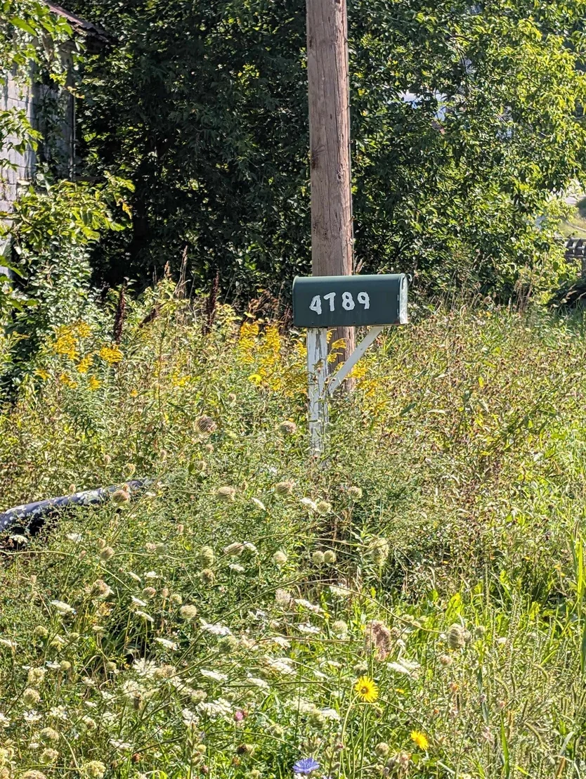 Photo of 4789 Lake