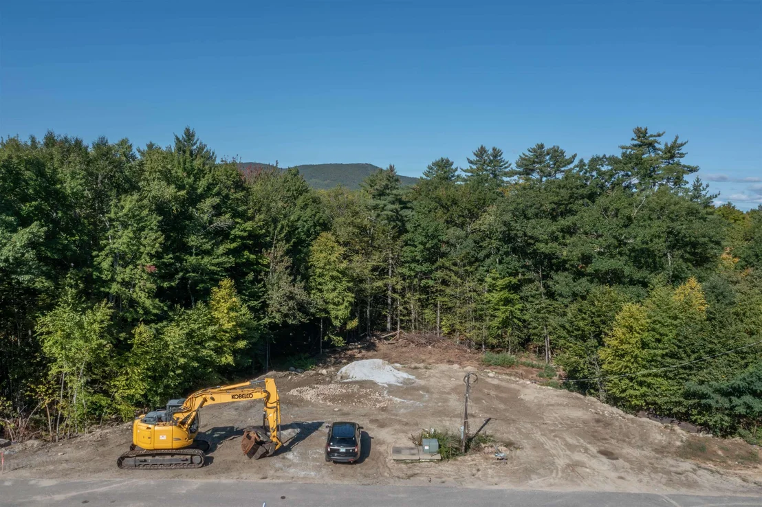 Photo of Lot 1 Jaytee