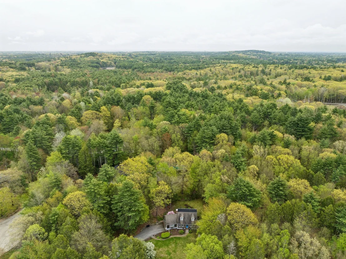 Photo of 12 Hemlock