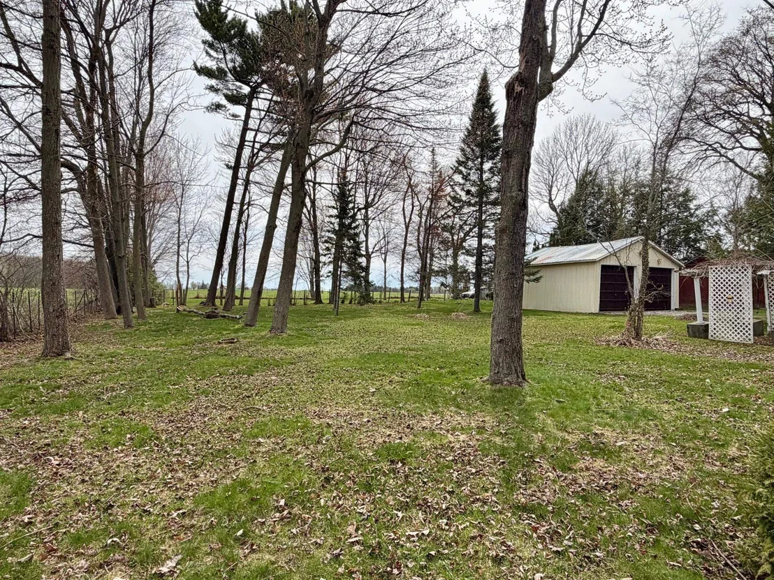 Photo of 33 Leo