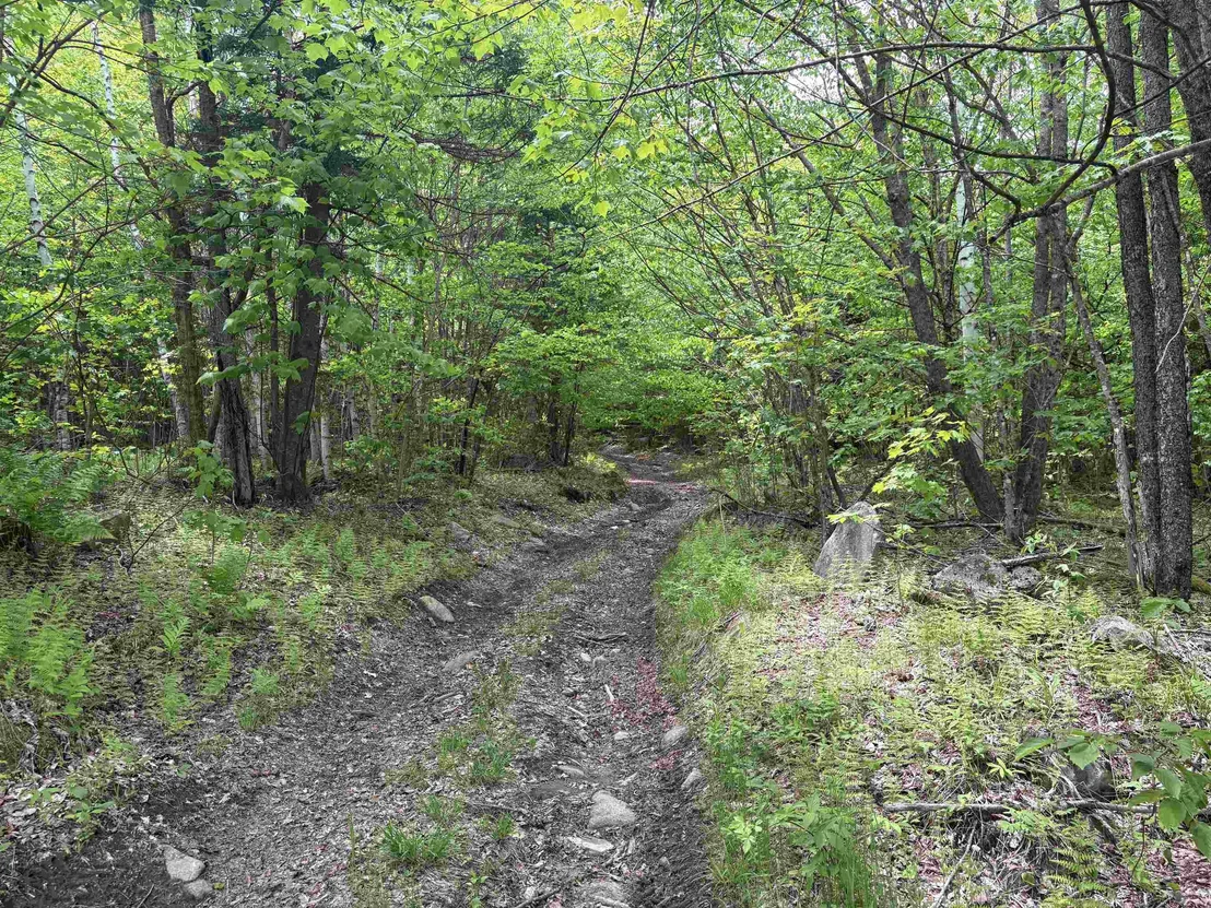 Photo of 0 Old Pond Hill