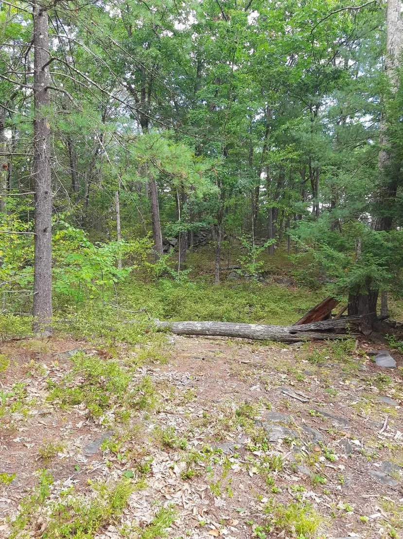 Photo of 319 River Road S