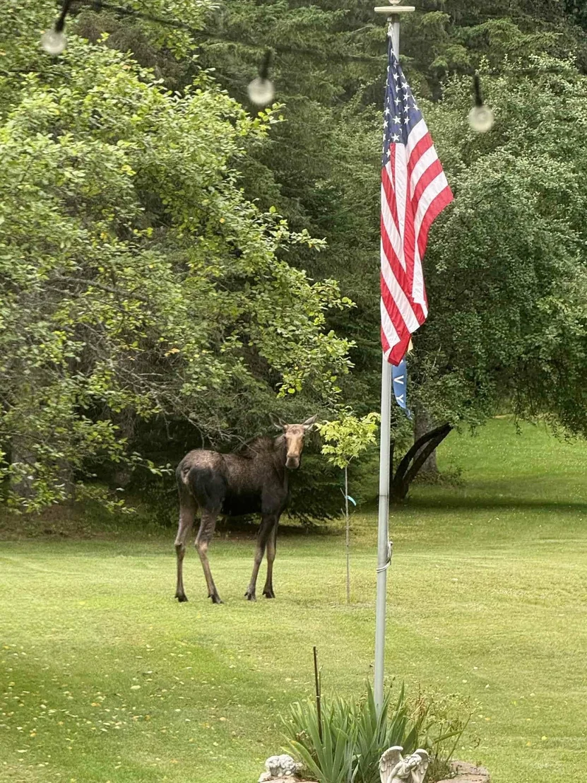Photo of 255 Gray