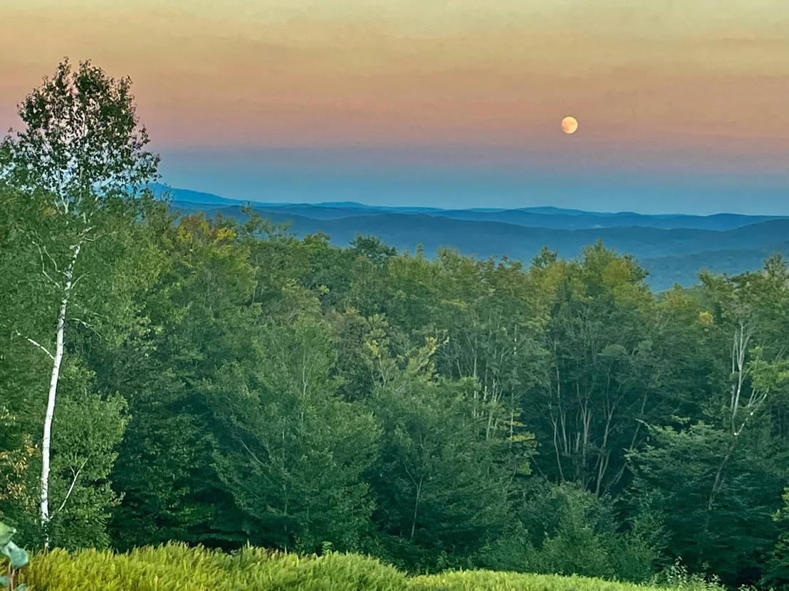 Photo of 365 Timson Hill
