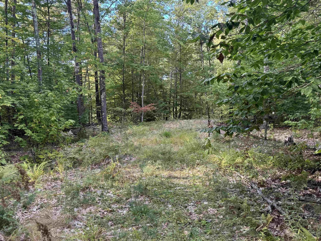 Photo of 26 Circuit