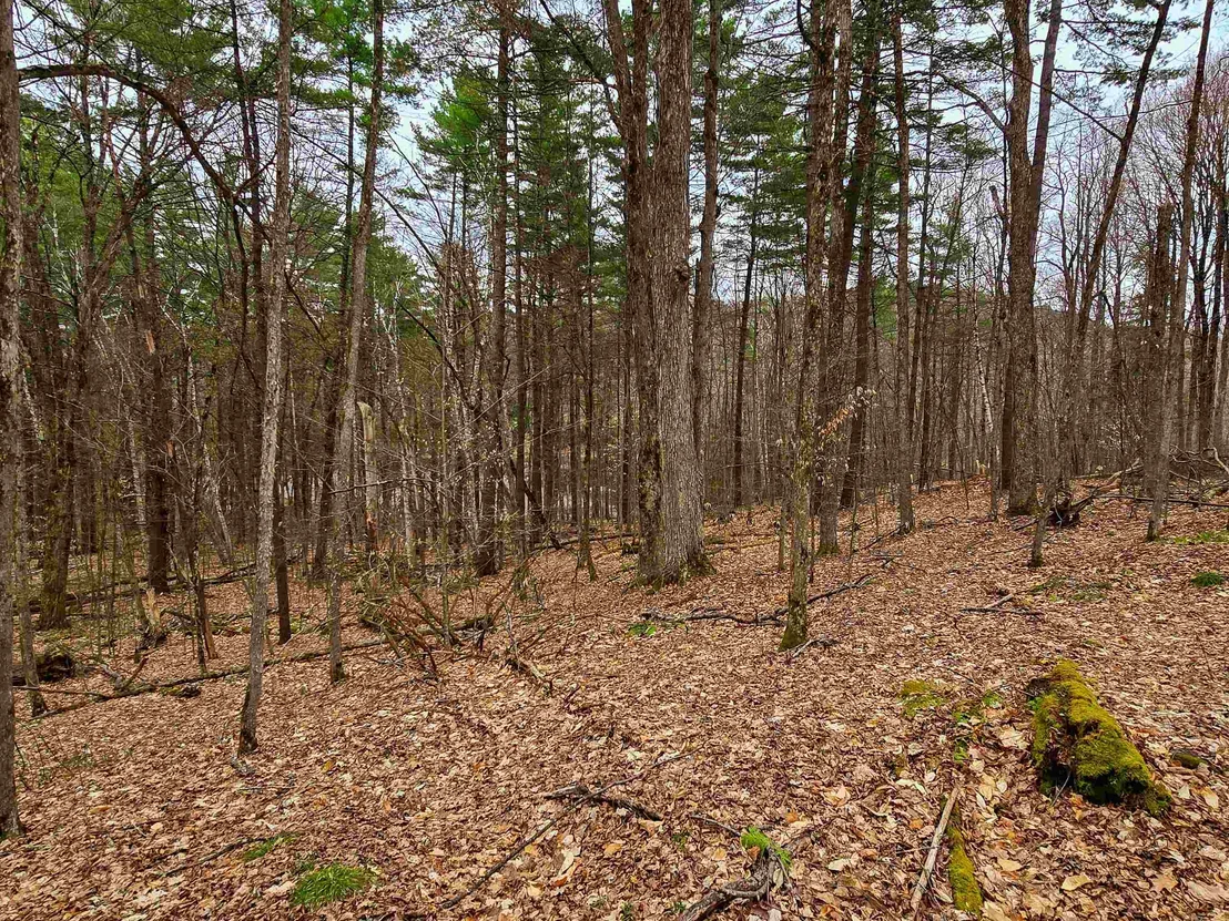 Photo of 765 Camp