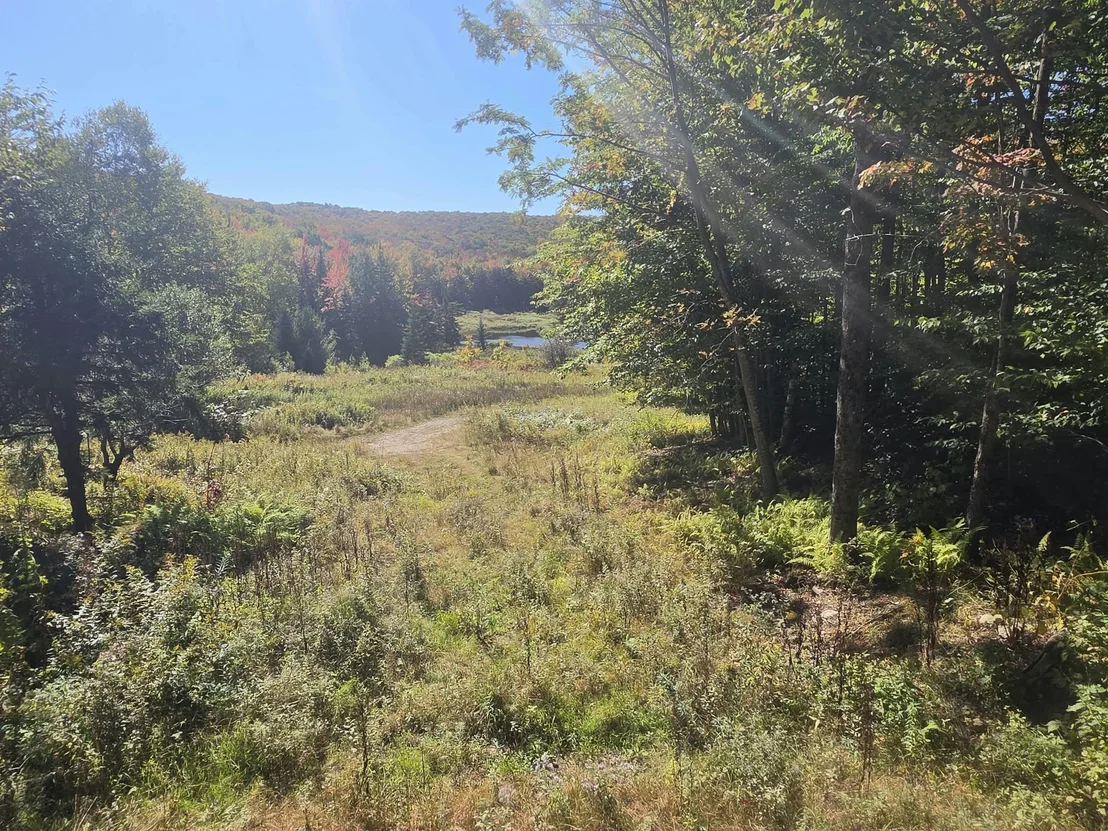 Photo of 689 Black Falls