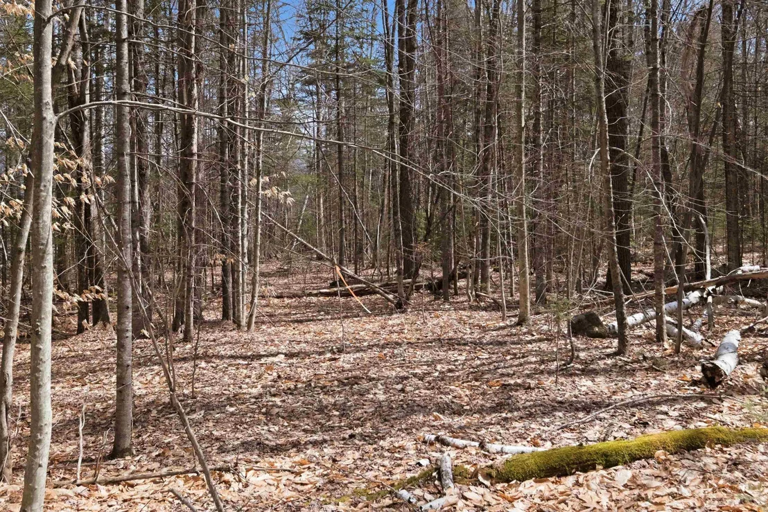 Photo of 0 Puckerbrush