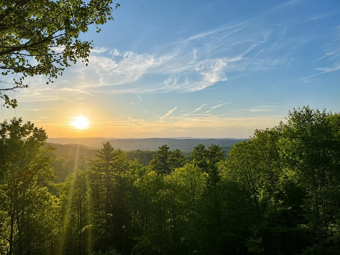 Photo of 43 Cook Hill