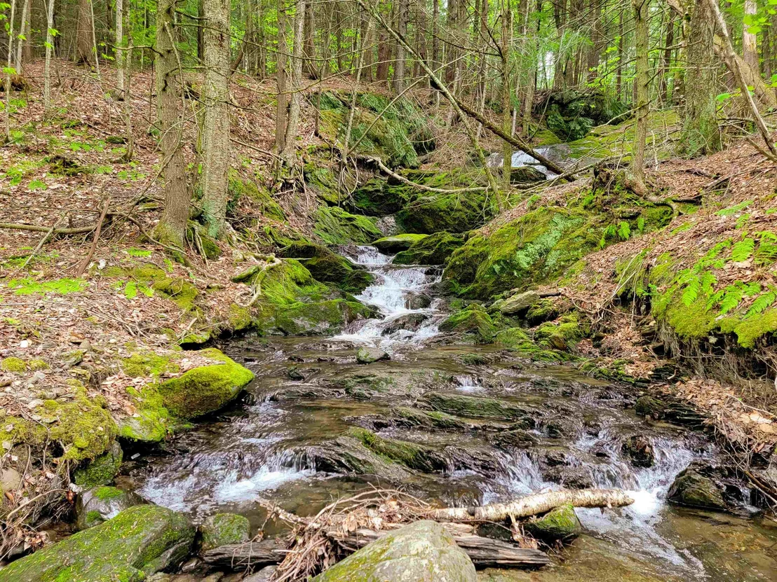 Photo of 167 High Meadow