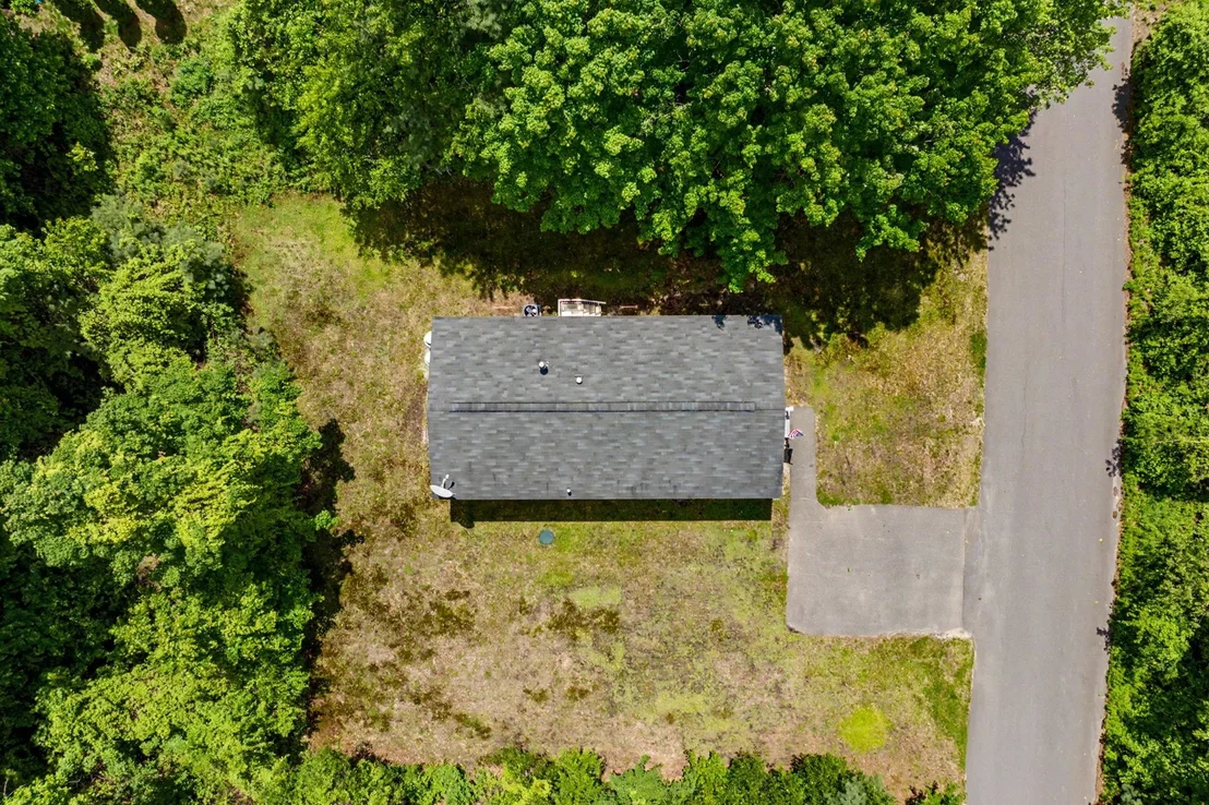 Photo of 2 Tamarack