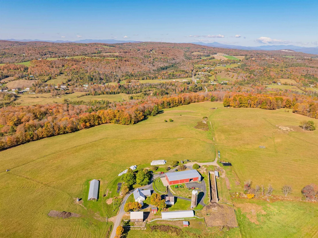 Photo of 183 Morrie