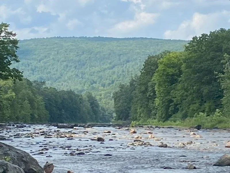 Photo of 3333 West River