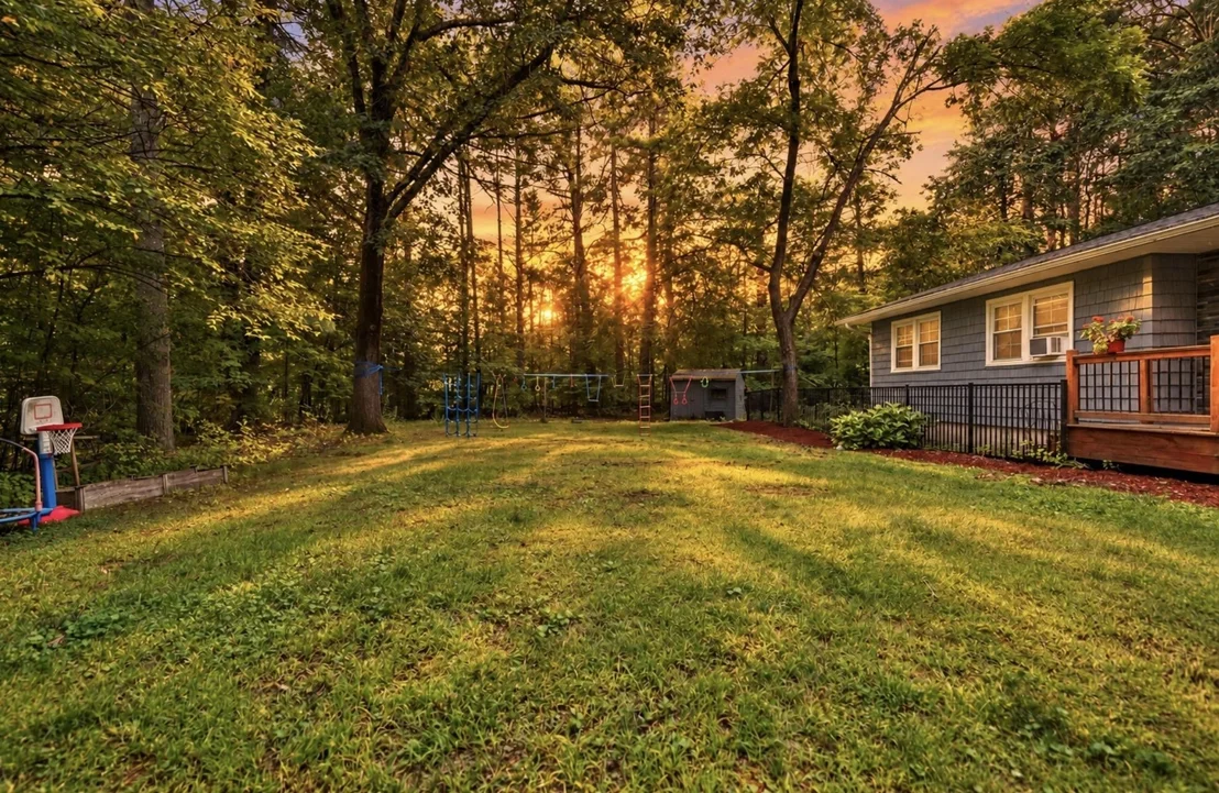 Photo of 6 Juniper