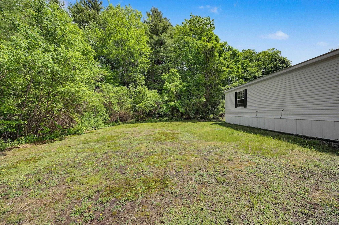 Photo of 2 Tamarack
