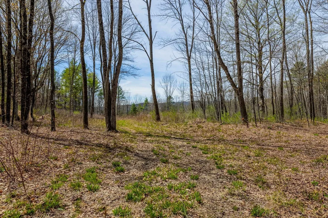 Photo of 00 Olcott