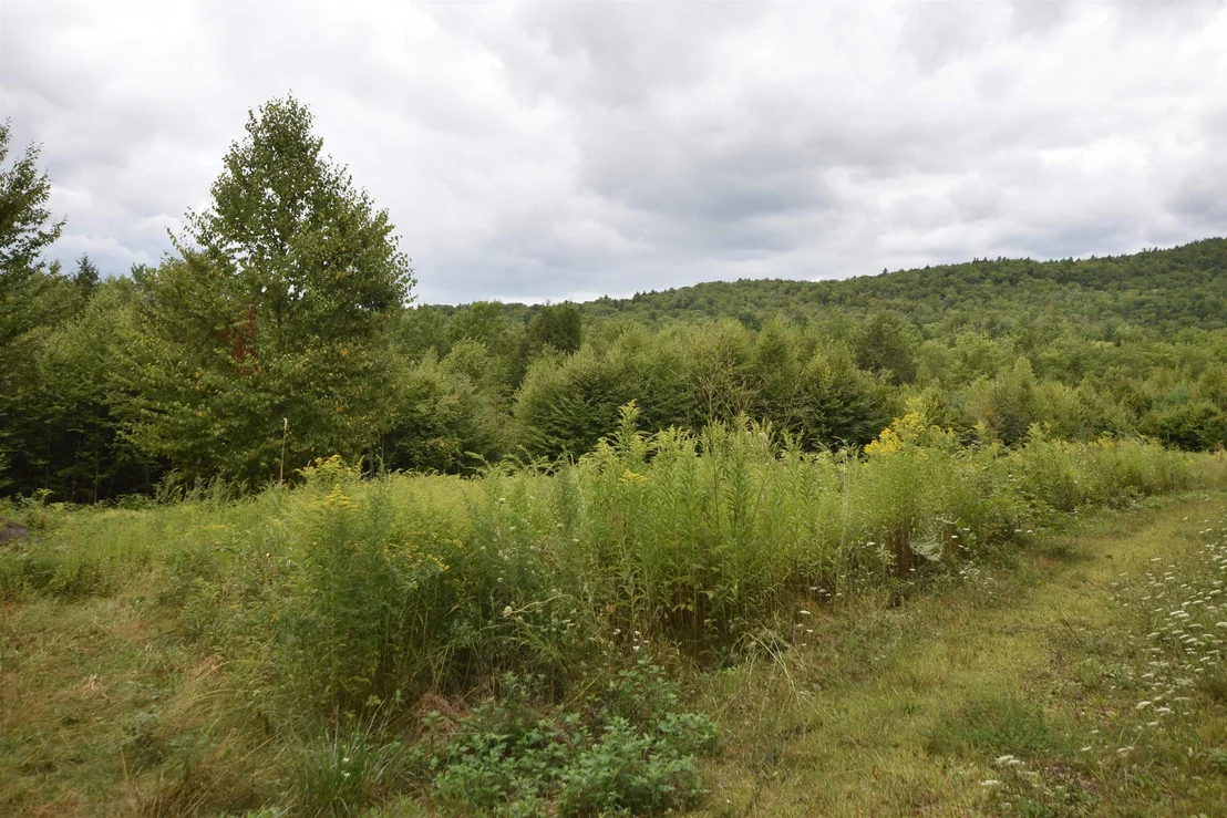 Photo of Unit LOT9 at 0 Thistle Hill