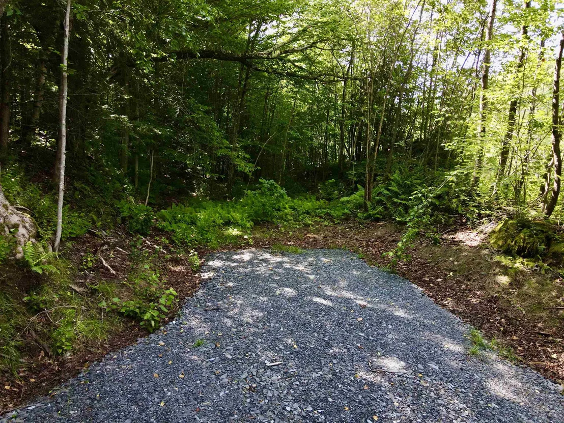 Photo of 4475 VT Route 100