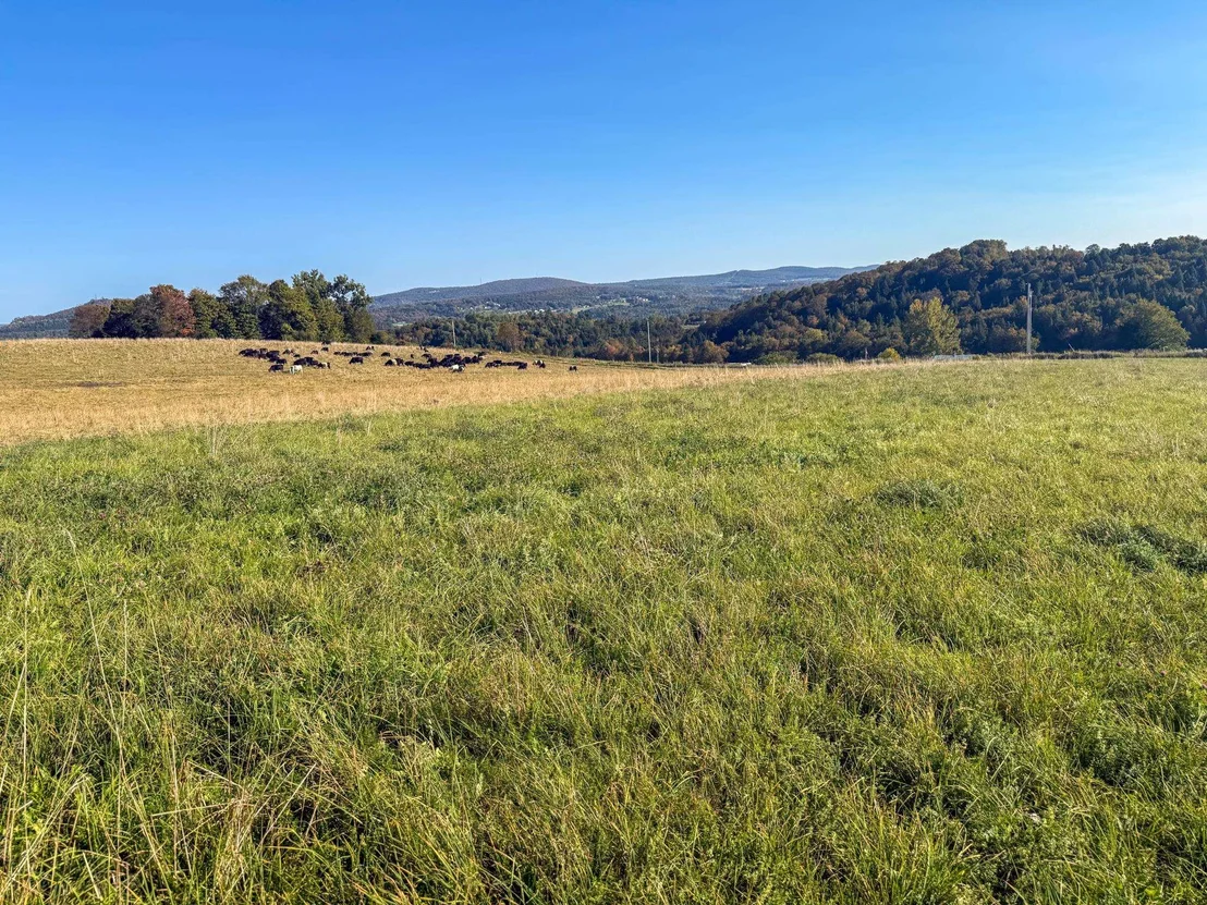 Photo of Unit LOT2 at 19 Upper Usle