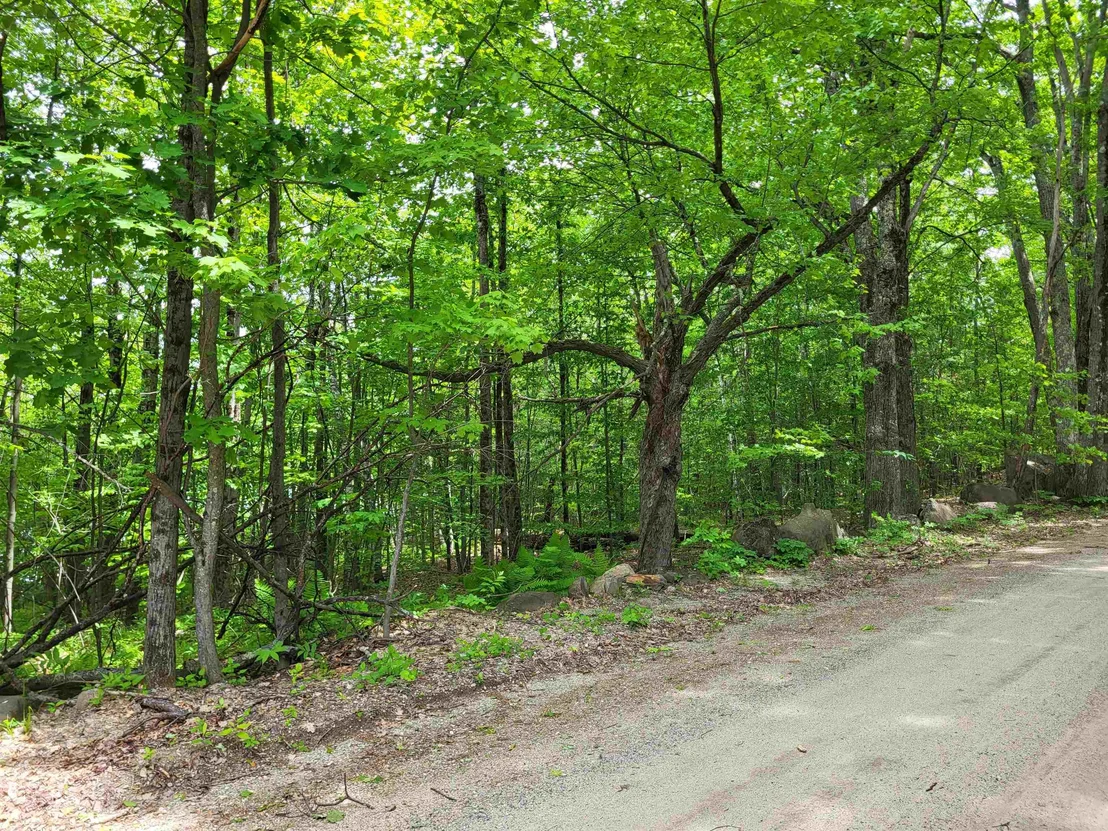Photo of 136 Martin