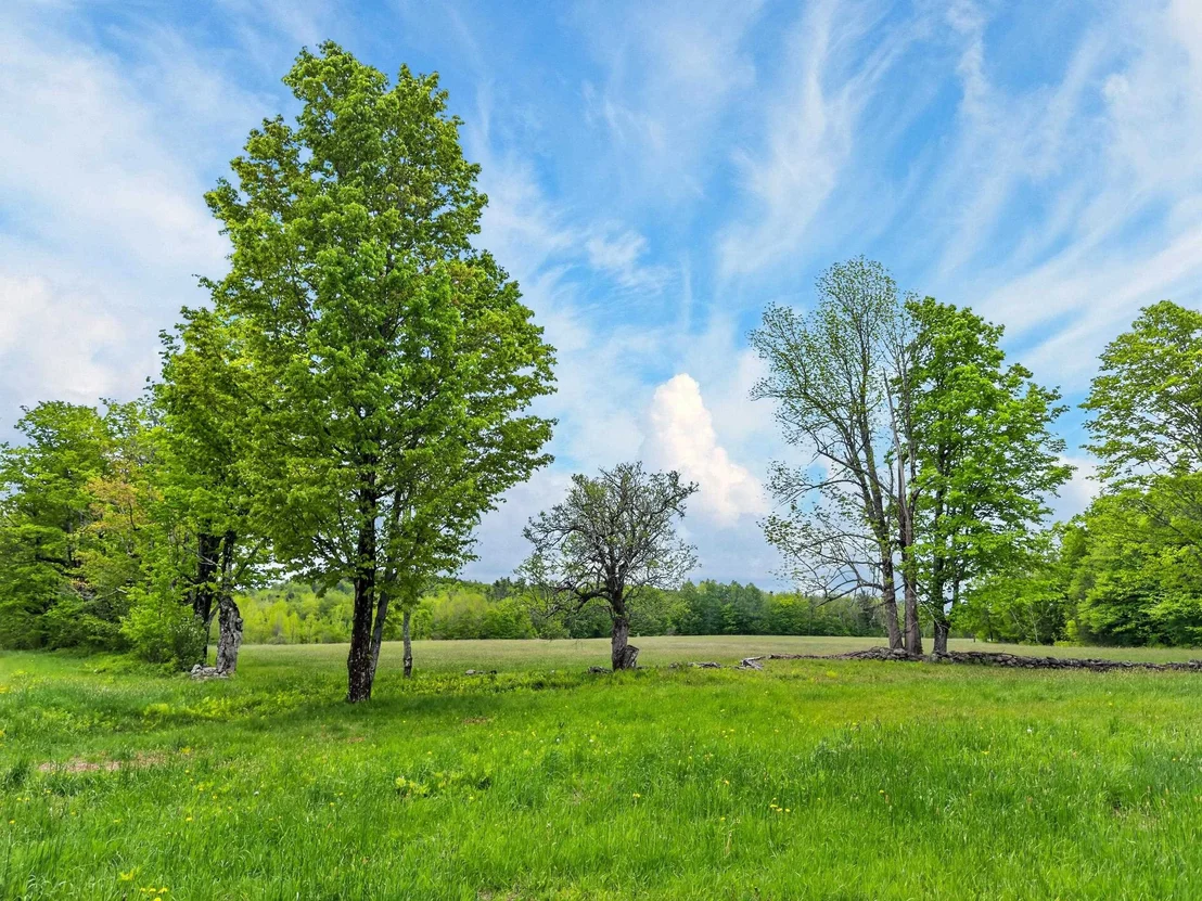 Photo of Lot 0 Saddada