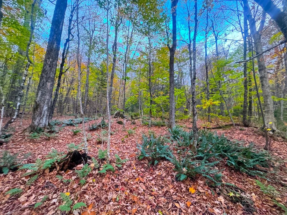 Photo of 0 Cider Mountain