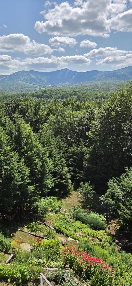 Photo of 182 Bearly Hi