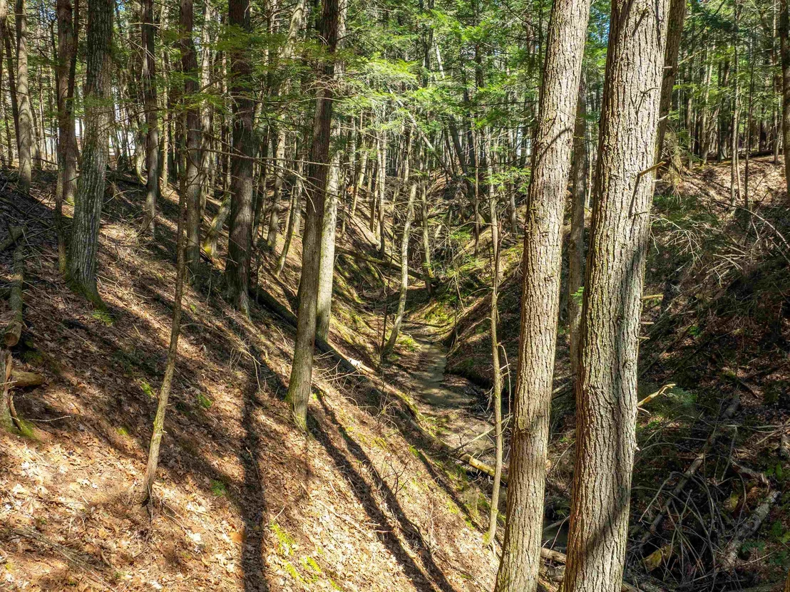 Photo of 00 Morrill Bend