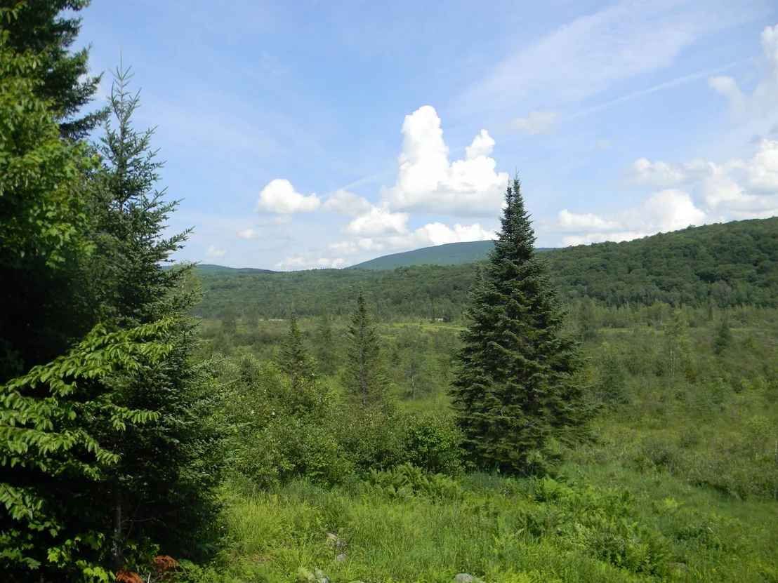 Photo of 24 Nash Stream